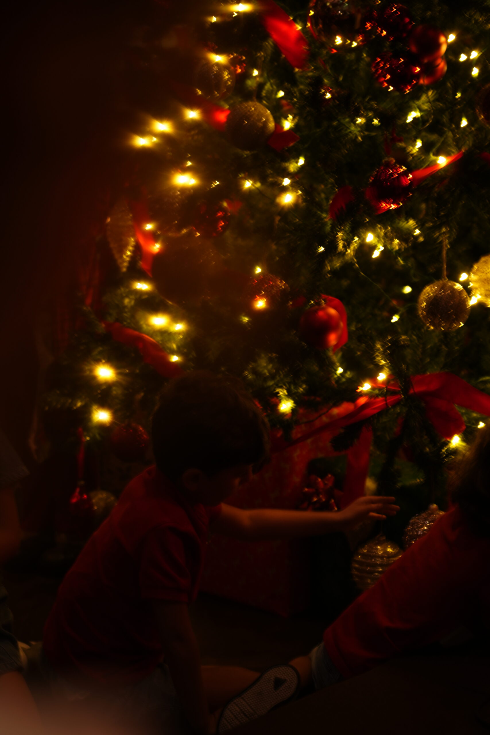 Christmas Tree Lighting at Three Cuts